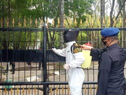 Pasukan PHH Brimob Batalyon A Pelopor Dilengkapi APD dan Alat Disinfektan untuk Amankan Demonstrasi