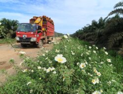 Astra Agro Raih ESG Award 2020