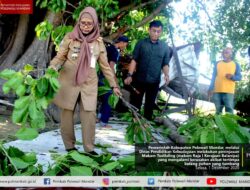 Makam Todilaling Tertimpa Pohon, Kadis Pendidikan Turun Tangan