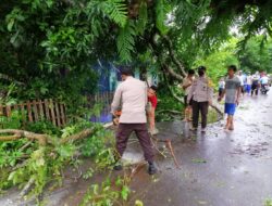Polsek Mappakasunggu Bersama Warga Bersihkan Pohon Tumbang