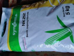FKPPH Sulsel Sorot PT.Syngenta Seed Indonesia, Meminta Pertanggung Jawaban