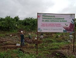 Lestarikan Penghijauan Sempadan Sungai, PT Pasangkayu Lakukan Penanaman Tanaman Konservasi