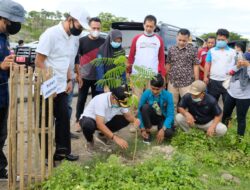 Hijaukan Bumi Turatea, Bupati Jeneponto Ajak Warga Tanam Pohon