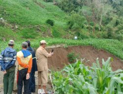 Jalan Tani di Kelara Jeneponto Longsor, Bukan Jalan Utama?