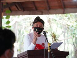 Tangani Dua Harimau Lepas di Singkawang, KLHK Minta Warga Tiak Lagi Resah