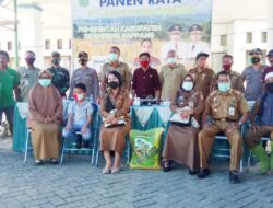 PT Bayer dan Pupuk Super Tani Indonesia Hadiri Panen Raya di Kecamatan Tellu Limpoe, Ini Tujuannya