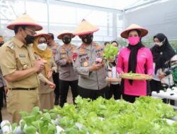 Danny Pomanto-Merdisyam Bersinergi Bangkitkan Usaha di Lorong