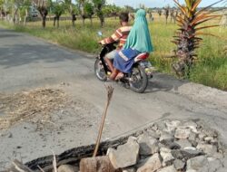 Butuh Perhatian Serius dari Pemerintah Setempat, Terkait Jalan di Kel. Panaikang Kec. Binamu Kab. Jeneponto