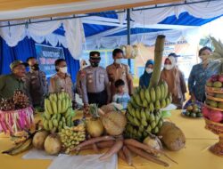 Desa Gunung Sari Launching Kampung Tangguh Mogi Rahayu