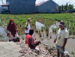 Kantor KPRI Koperasi Bakti Guru SD Segera Dibangun, H. Sirajuddin Hairi Letakkan Batu Pertama