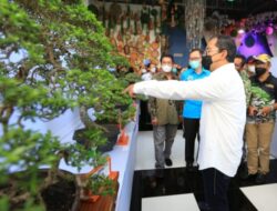 Wali Kota Danny Sebut Bonsai Salah Satu Pemicu Makassar Jadi Kota Dunia