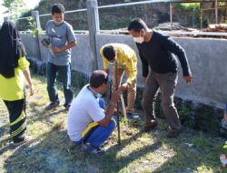 Pemkab Soppeng Peringati Hari Lingkungan Hidup Dengan Tanam Pohon
