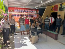 Polres Wajo Amankan 3 Pelaku Pencurian Ternak  Di kecamatan Takkalalla Kab. Wajo   