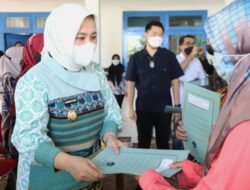 Wawali Fatma Bantu 50 Hand Traktor dan 50 Cultivator Kepada Kelompok Tani di Kota Makassar