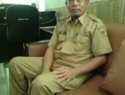 Terkait Ilegal Logging di Touna, Firmansyah: Terlalu Banyak Pihak yang Bermain