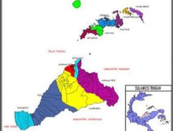 Taktis Ajak Masyarakat Touna Awasi Ilegal Logging, Yusuf: Jangan Takut Melarang