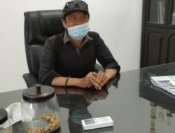 Festival Gerobak Sapi Membudayakan Budaya Masyarakat Pasangkayu