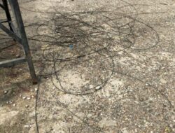 Diduga Penyebab Kabel Telkom, Warga Asal Tanete Rilau Barru Alami Kecelakaan