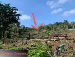 Kasus Pembalakan Liar di Soppeng, Kasi Intel Kejaksaan: Kita Tinggal Nunggu Penyerahan Tersangka Dari Kepolisian