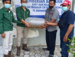 PT SRL 1 Beri Bantuan Bibit Ikan Nipa Ke Masyarakat Desa Bulumario