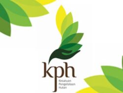 Taktis Minta Gubernur Sulteng Evaluasi Kinerja Kesatuan Pengolahan Hutan KPH Sivia Patuju