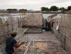 Sejumlah Nelayan Danau Poso Desak Polisi Usut Pelaku Pengrusakan Pagar Sogili