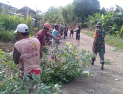 Babinsa Kodim 1420 dan Warga Kerja Bakti Bersihkan Bahu Jalan Pedesaan
