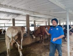 Wakil ketua forum Kepala Desa asal wus Pengecer Pujut Kecam Pernyataan Tersebut.