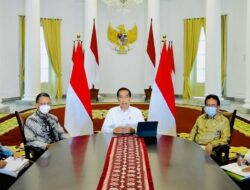 Pemerintah Cabut Ribuan Izin Usaha Tambang, Kehutanan, dan HGU Perkebunan