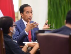 Hadiri WEF, Presiden Jokowi Paparkan Strategi Indonesia Wujudkan Ekonomi Hijau