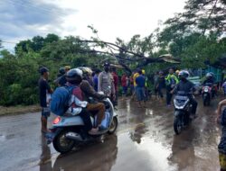 Laka Lantas Di Desa Kuta Telah Ditangani Unit Laka Lantas Polres Lombok Tengah
