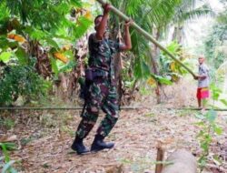 Babinsa Kodim 1420 bersama Warga binaannya, Gotong royong perbaiki jembatan desa