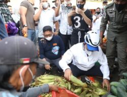 Wali Kota Danny Ajak Warga Hidup Sehat, Serukan Makassar Sehat Dengan Rebusan