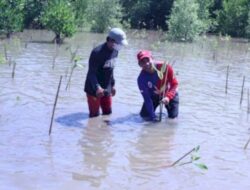 Bersama Alumni SMAN 6 Makassar, Rudianto Lallo Lakukan Penanaman 400 Mangrove