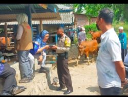 Bantu Cegah Penyebaran PMK Hewan Ternak, Polres Loteng Cek Pasar Hewan di Lombok Tengah*