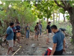 Resahkan Warga, 3 Ekor Ayam dan 1 Arena Judi Ayam di Amankan Polisi*