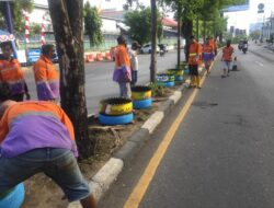 Lagi, Camat Wajo Tinjau Inovasi Tanaman Hias di Media Jalan