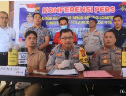 Dit Polairud Polda NTB Ungkap Penyelundupan Ribuan Benih Bening Lobster ke Luar Daerah