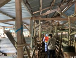 Satgas Ops Aman Nusa II, Si Dokkes Lakukan Pendampingan Penyemprotan Disinfektan