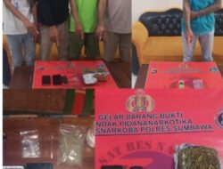 Miliki Ganja, 5 Orang Pria Di Ringkus Sat Resnarkoba Polres Sumbawa