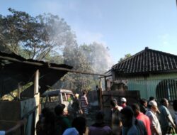 Sijago Merah Melalap Sebuah Gudang Tempat Service Elektronik di Kopang