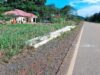 Gagalnya Program PLN Di Dusun Asuansang Akibat Terbentur Kawasan Hutan