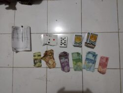 Tim Puma II Sita 450 Liter Mitan Selundupan, Sopir dan Pemilik Diamankan