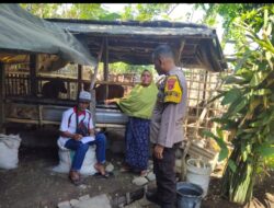 Antisipasi PMK, Bhabinkamtibmas Motong Door To Door Edukasi Peternak