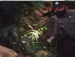 Diduga Akibat Permasalahan Keluarga, Seorang Warga Desa Murbaye Akhiri Hidup Dengan Gantung Diri*