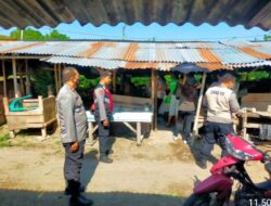 Satgas Ops Aman Nusa II, Polresta Mataram Lakukan Pengambilan Sampel Darah  Surveilans PMK