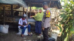 Polda NTB Maksimalkan Peran Babinkamtibmas dan Babinsa Tracking Hewan Ternak Yang Sakit di Pulau Sumbawa