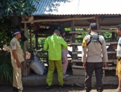 Polsek Kawasan Mandalika Lakukan Pendampingan Pelaksanaan Vaksin Pada Hewan Ternak