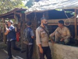 Dalam Upaya Memberantas Penyebaran Virus PMK, Polsek Batukliang Lakukan Pendampingan Giat Vaksinasi