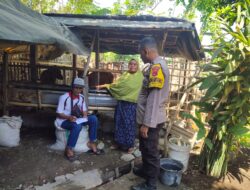Antisipasi PMK, Bhabinkamtibmas Motong Door To Door Edukasi Peternak